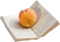 peach-on-book